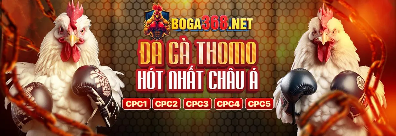 Bắt đầu cá cược với Sbobet