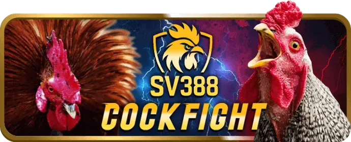 Mẹo chơi Bắn Cá vip666 hiệu quả